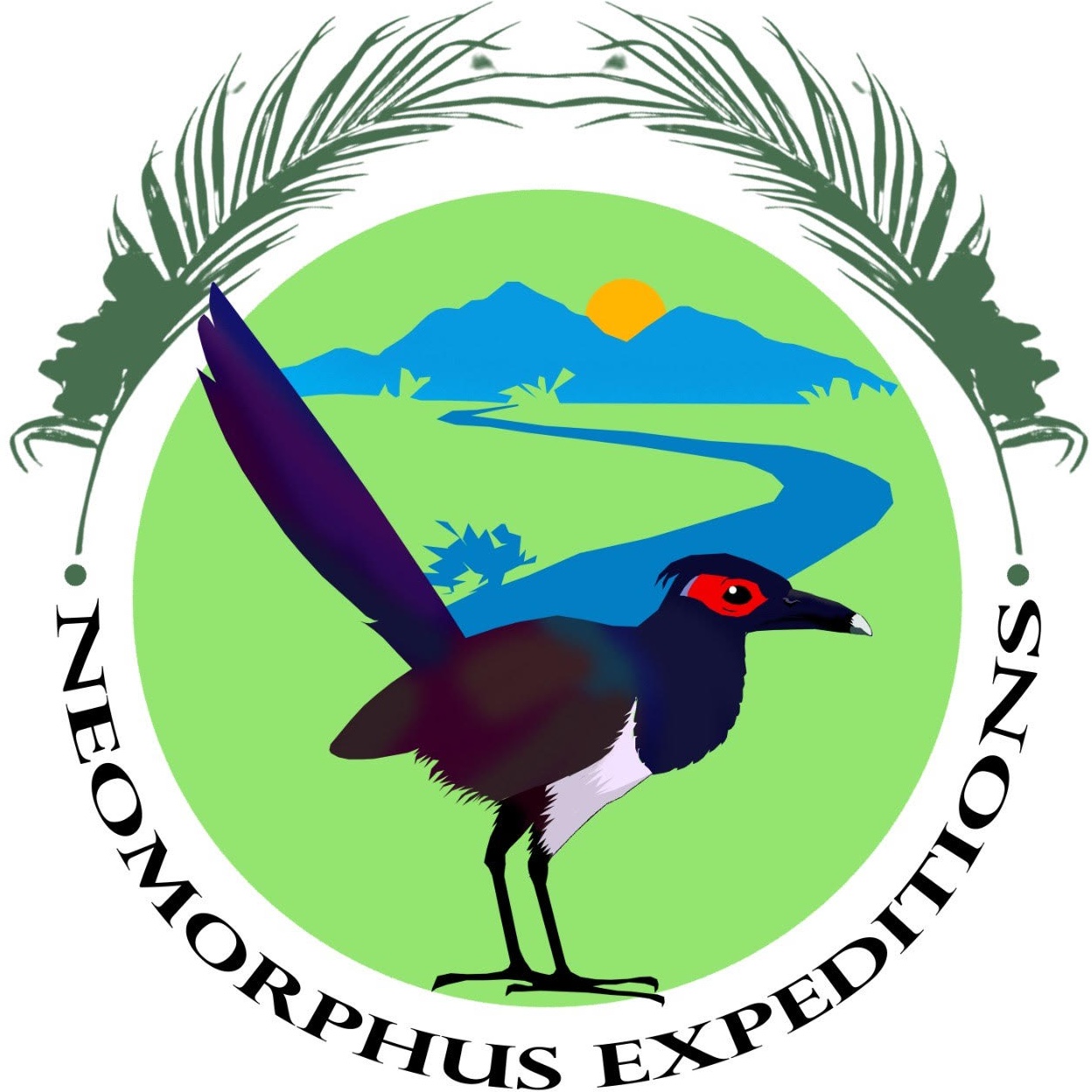 Neomorphus Expeditions with Ron Allicock - Guyana, South America